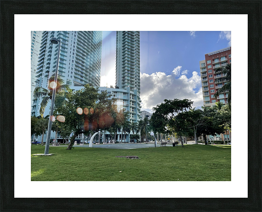 IMG 11061 Picture Frame print