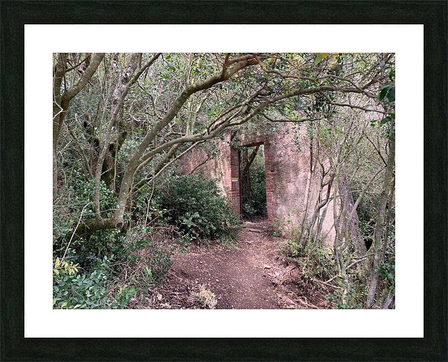 The Journey Within  Picture Frame print