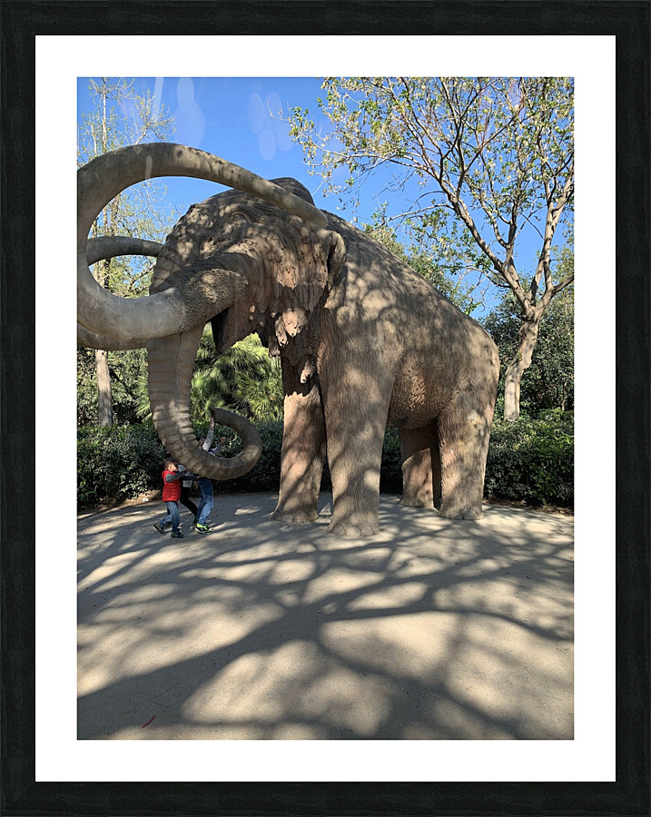 Mammoths  Picture Frame print