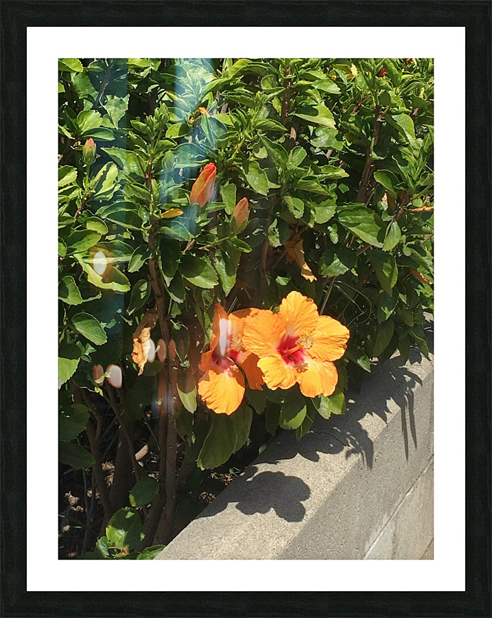 Orange you  Picture Frame print