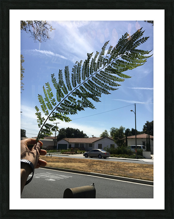 Skeleton PLANT Picture Frame print