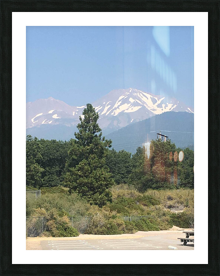 School & Shasta  Picture Frame print