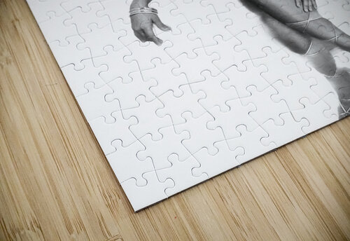 IMG 4374 ThroughtheLenzz puzzle