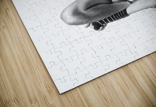 IMG 4554 ThroughtheLenzz puzzle