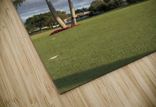 FullSizeRender ThroughtheLenzz puzzle
