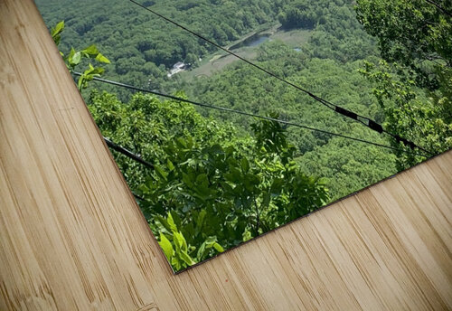 Greenery Scenery  ThroughtheLenzz puzzle