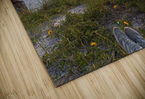 Clearwater Beach FL ThroughtheLenzz puzzle