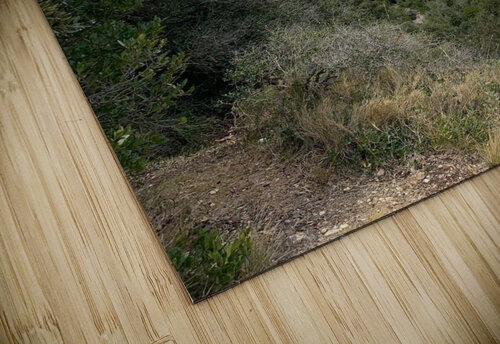 Thumbs UP ThroughtheLenzz puzzle