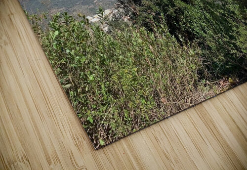 Rescpect the land  ThroughtheLenzz puzzle