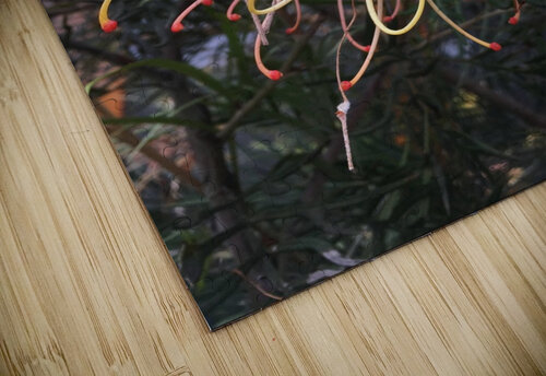 Tentacles Flower  ThroughtheLenzz puzzle