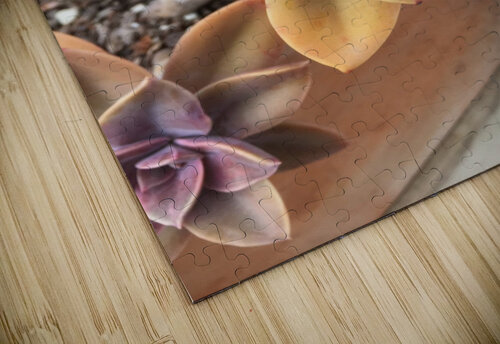 Mandela Flower  ThroughtheLenzz puzzle