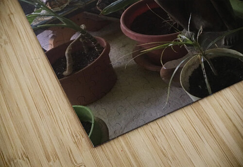 African Prince  ThroughtheLenzz puzzle