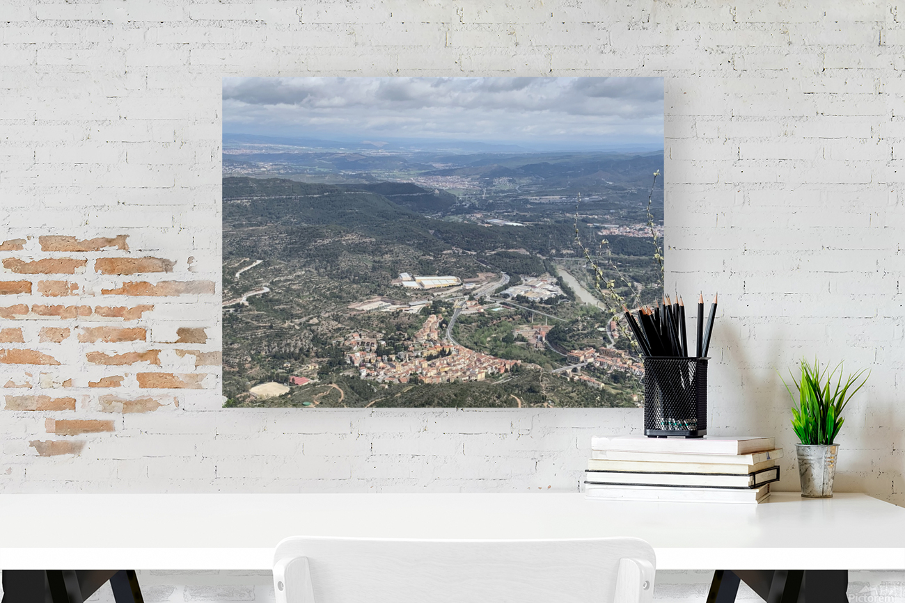 The view in Spain  Reproduction