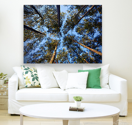 Live Tree Therapy Reproduction