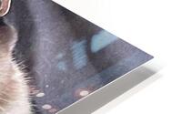 IMG 3410 HD Metal print