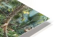 IMG 5025 HD Metal print