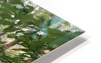 IMG 3747 HD Metal print