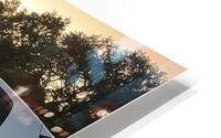 IMG 2642 HD Metal print