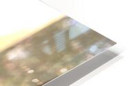 IMG 5158 HD Metal print