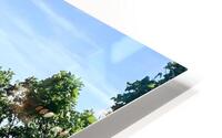 Greenery Scenery  HD Metal print