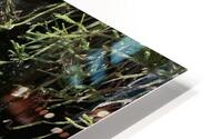 Vibrancy  HD Metal print