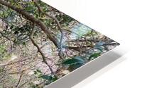 The Journey Within  HD Metal print