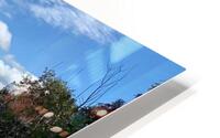 Rescpect the land  HD Metal print