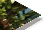White pearls  HD Metal print