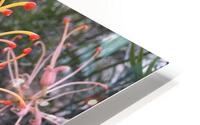Tentacles Flower  HD Metal print