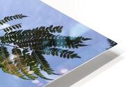 Skeleton PLANT HD Metal print