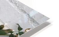 White Casper HD Metal print