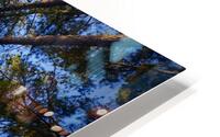 Live Tree Therapy HD Metal print