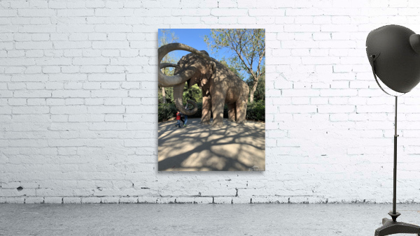 Mammoths  Wall Preview