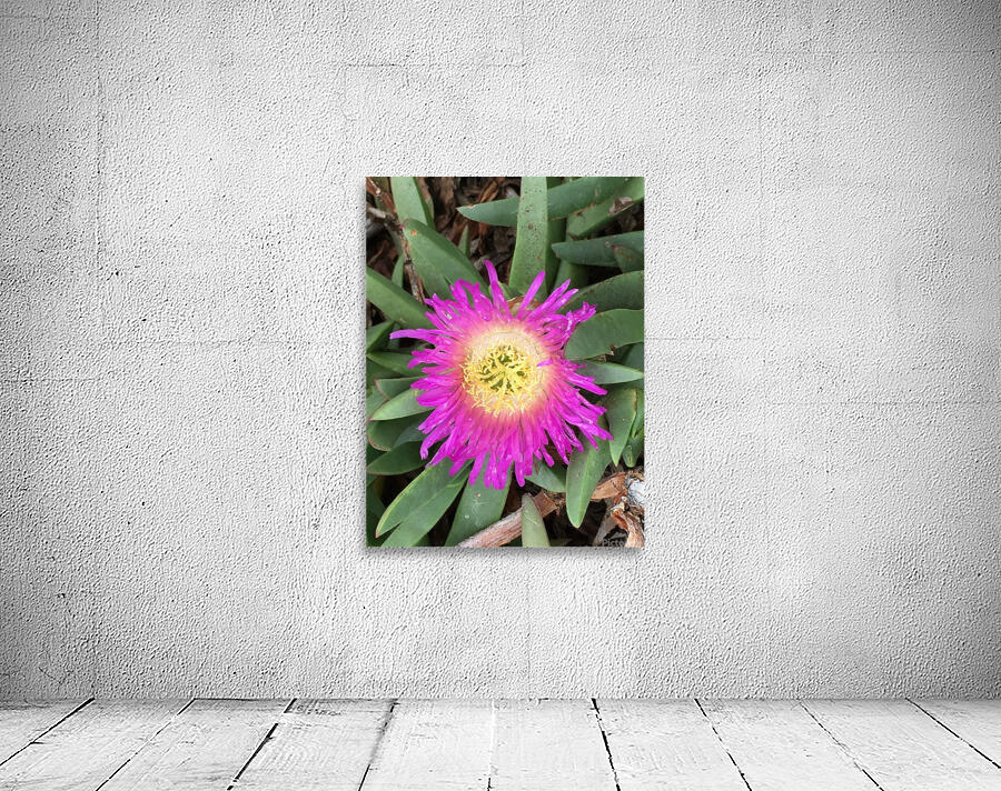 Purple Sunflower  Wall Preview