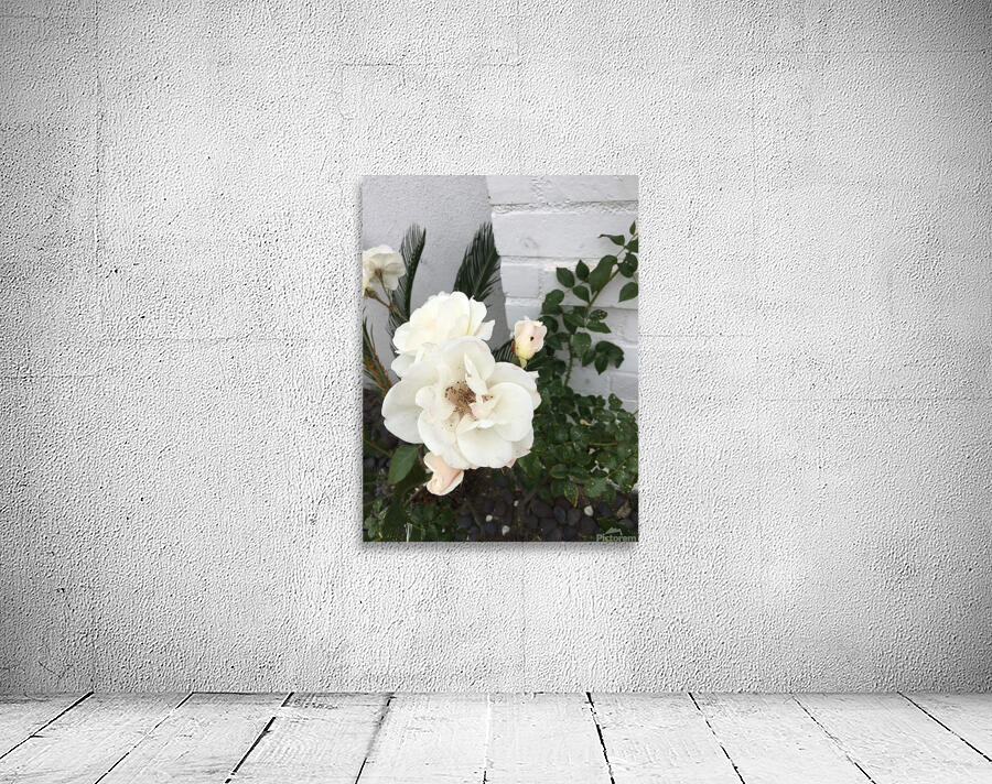 White Casper Wall Preview