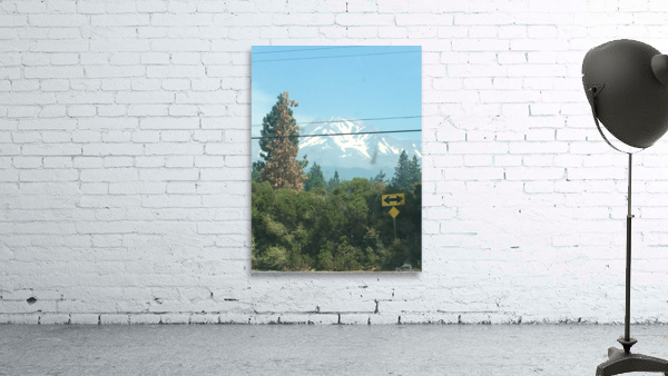 Mt Shasta Wall Preview