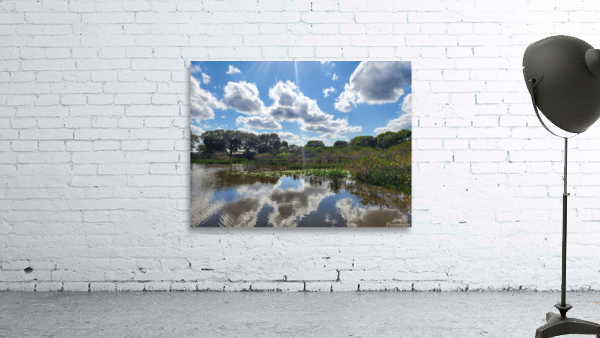 You Are A Reflection Wall Preview
