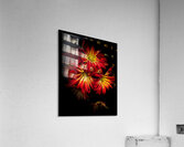 Dehlia Acrylic Print