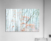 A Winters Day  Acrylic Print