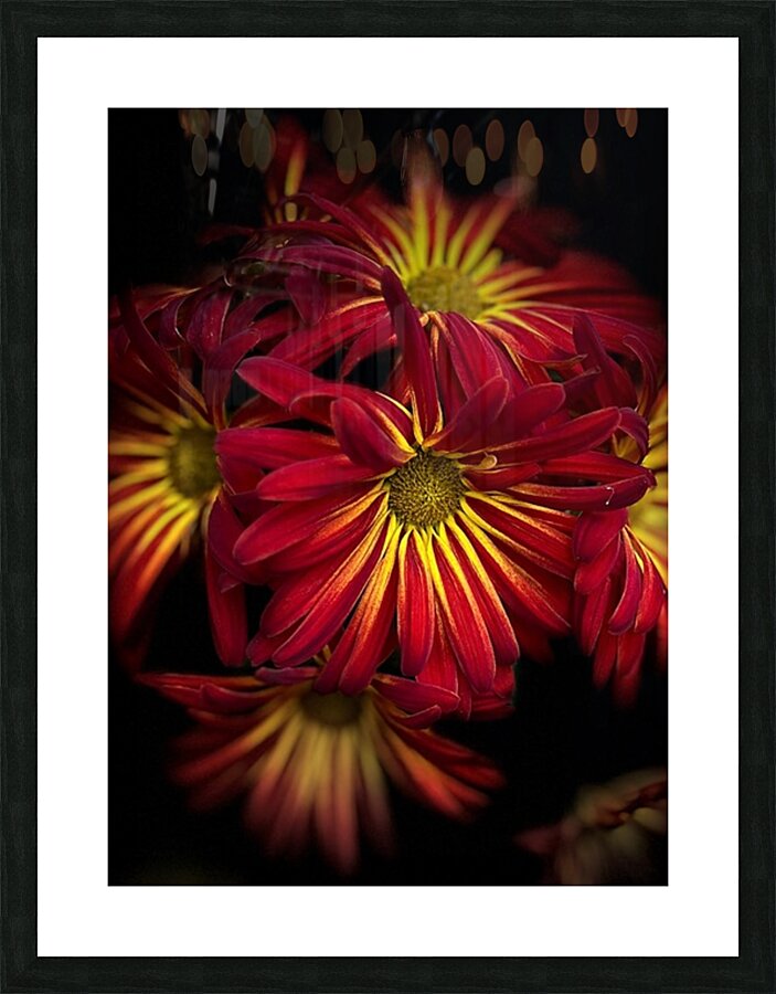 Dehlia Picture Frame print