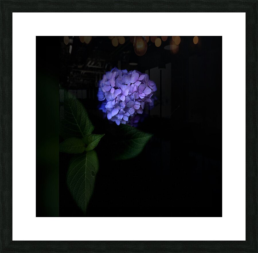 Purple Hydrangea Picture Frame print