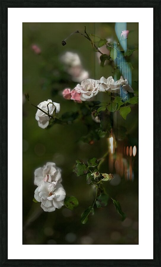 White Gardenia Picture Frame print