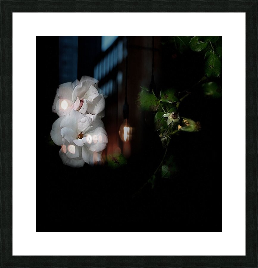 White Gardenia Picture Frame print