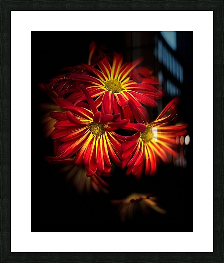 Dehlia Picture Frame print