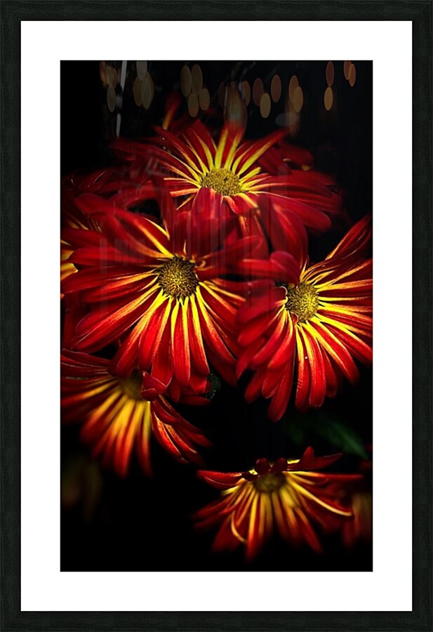 Dahlia Picture Frame print