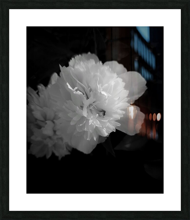 Peony Impression et Cadre photo