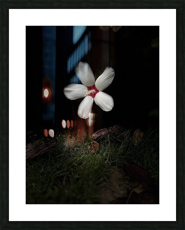 Herbaceous Picture Frame print