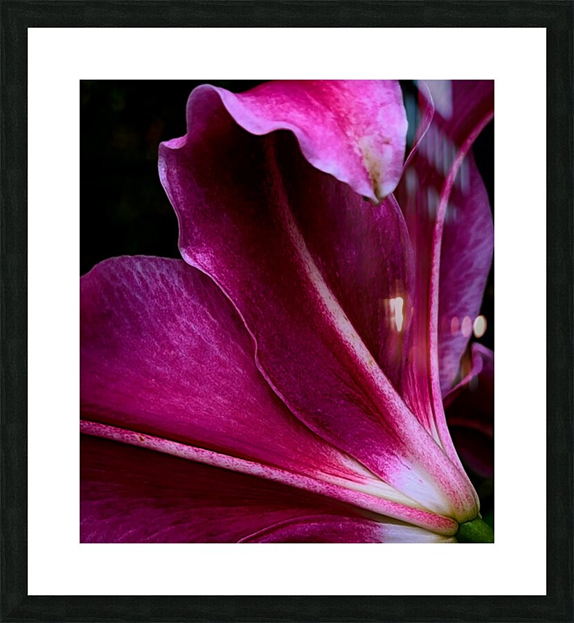 Stargazer Picture Frame print