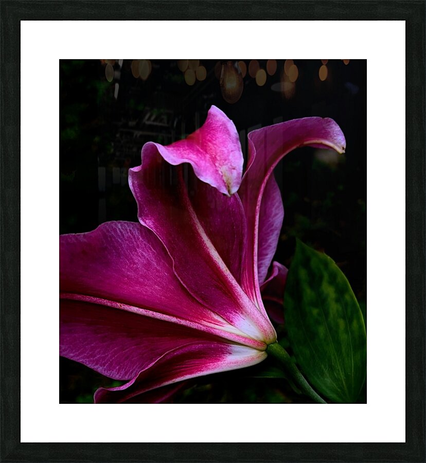 Stargazer Picture Frame print