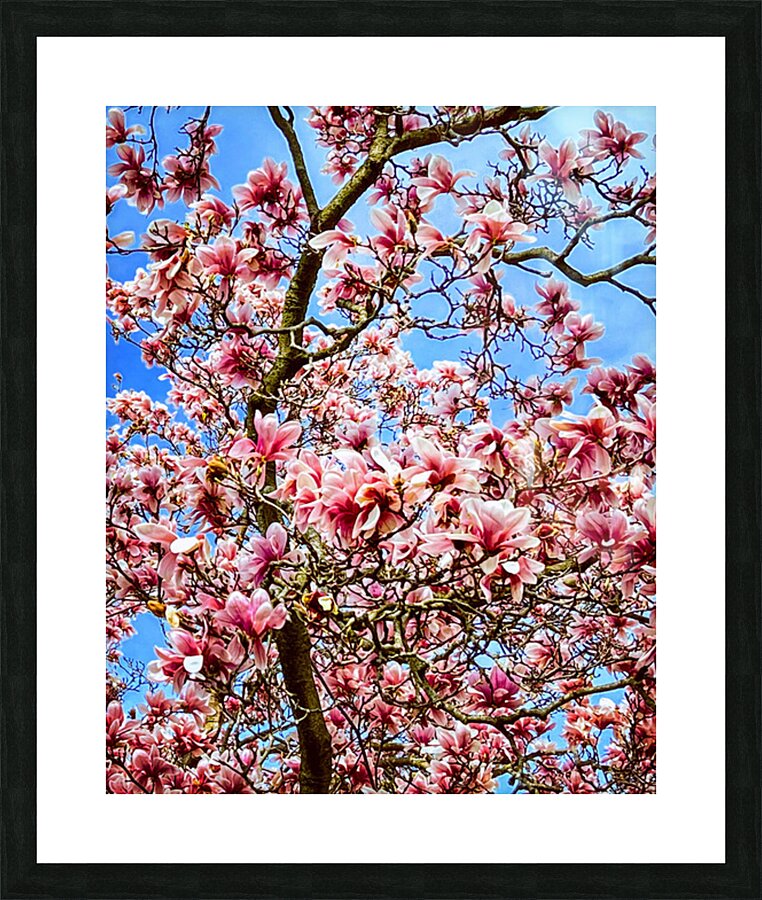 Magnolia Picture Frame print
